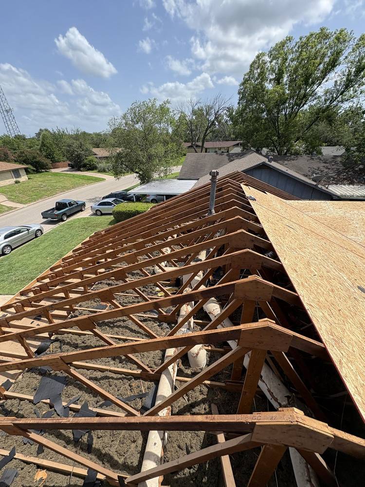 Roof stripped to the rafters for a full decking replacement, new sheathing going on