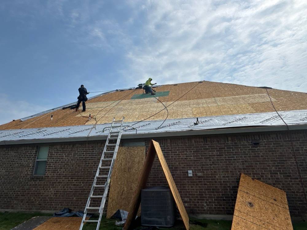 Roofing crew in fall-protection harnesses laying new decking on a brick home, ladder and fresh sheathing staged below